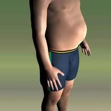 是什么原因?qū)е滦「谷菀锥逊e脂肪？